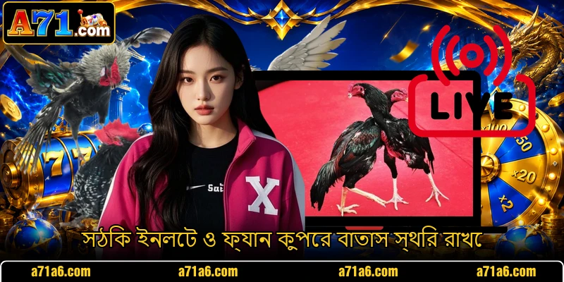 সঠিক ইনলেট ও ফ্যান কুপের বাতাস স্থির রাখে