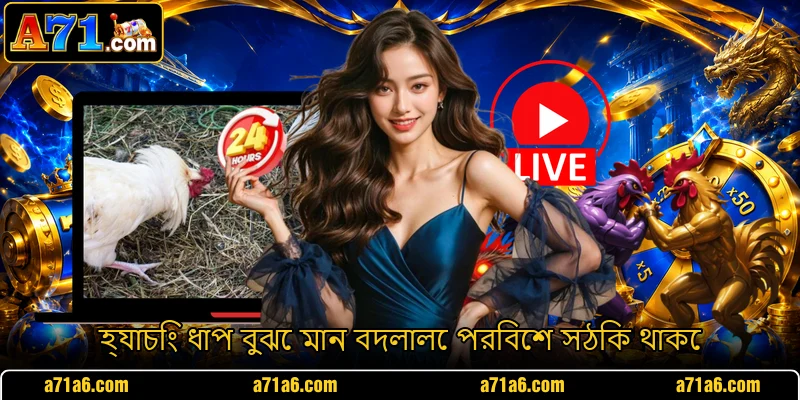 হ্যাচিং ধাপ বুঝে মান বদলালে পরিবেশ সঠিক থাকে হ্যাচিং ধাপ বুঝে মান বদলালে পরিবেশ সঠিক থাকে